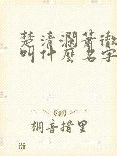楚清澜萧彻小说叫什么名字