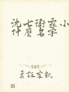 沈七卫霖小说叫什么名字