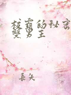 校霸的秘密小说双男主