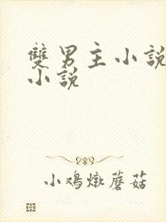 双男主小说末世小说