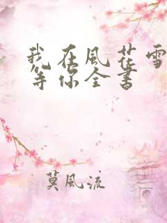 我在风花雪月里等你全书