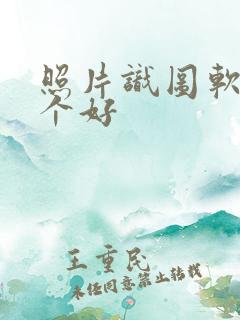 照片识图软件哪个好