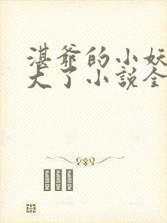 湛爷的小妖精长大了小说全文阅读