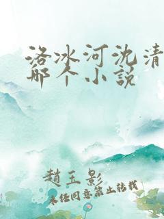 洛冰河沈清秋是哪个小说