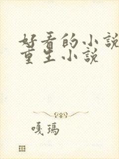 好看的小说末世重生小说