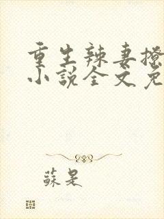 重生辣妻撩夫忙小说全文免费阅读