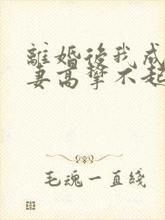 离婚后我成了前妻高攀不起的神结局