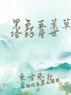 黑色五叶草阿斯塔的身世