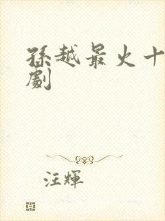 孙越最火十部短剧