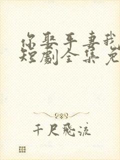 你娶平妻我高嫁短剧全集免费观看