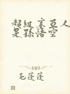 超级赛亚人之我是孙悟空