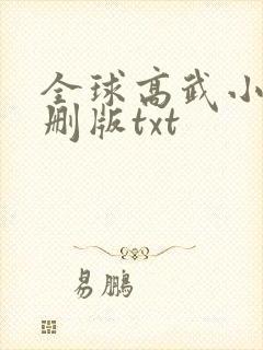 全球高武小说未删版txt