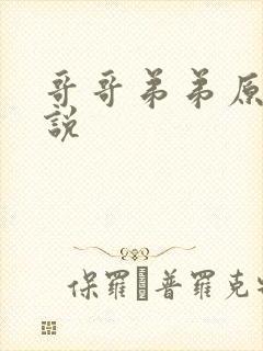 哥哥弟弟原耽小说