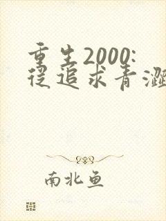 重生2000:从追求青涩校花同桌开始原著