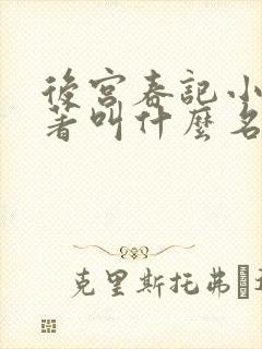 后宫春记小说原著叫什么名字