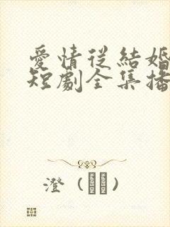 爱情从结婚开始短剧全集播放