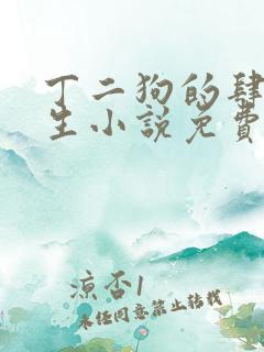 丁二狗的肆意人生小说免费