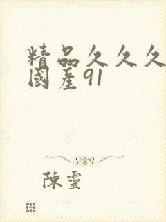 精品久久久久久国产91