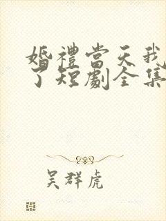 婚礼当天我后悔了短剧全集免费观看