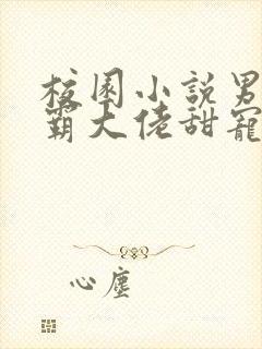 校园小说男主校霸大佬甜宠文