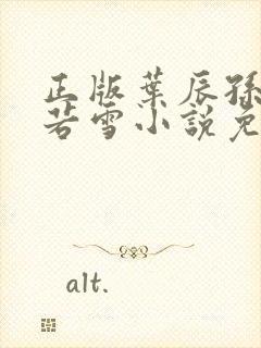 正版叶辰孙怡夏若雪小说免费阅读