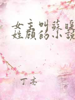 女主叫苏暖男主姓顾的小说