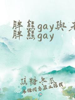 胖熊gay与老胖熊gay