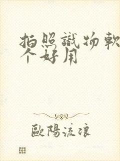 拍照识物软件哪个好用