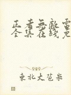 正者无敌电视剧全集在线免费观看