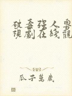 破毒强人粤语电视剧在线观看全集