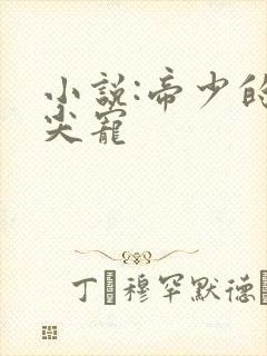 小说:帝少的心尖宠