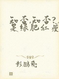 知否,知否?应是绿肥红瘦是什么意思