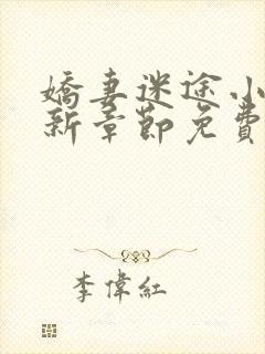 娇妻迷途小说最新章节免费阅读