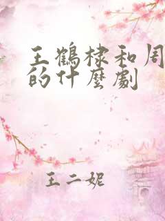 王鹤棣和周也演的什么剧