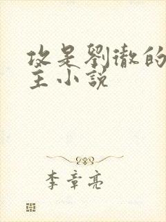 攻是刘彻的双男主小说