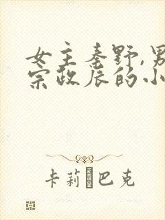 女主秦野,男主宗政辰的小说