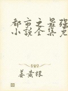 都市之最强狂兵小说全集免费阅读