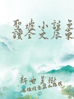 圣墟小说免费阅读全文辰东