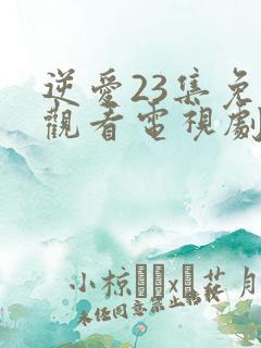 逆爱23集免费观看电视剧