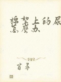 棉絮上的尿骚味怎么办