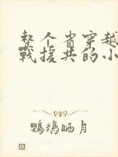 整个省穿越到抗战援共的小说