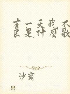 有一天我不再善良是什么歌