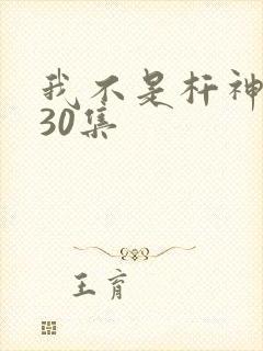 我不是杆神锤锤30集