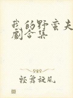 我的野蛮夫人短剧合集