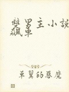 双男主小说高速飙车