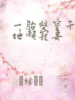 一胎双宝千亿爹地超宠妻