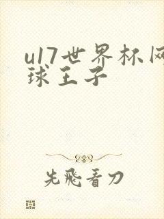 u17世界杯网球王子