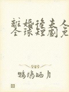 离婚后夫人惊艳全球短剧免费观看