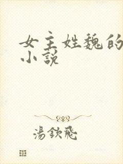 女主姓魏的古言小说