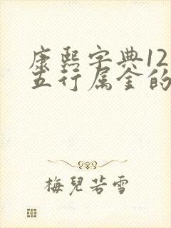 康熙字典12画五行属金的字